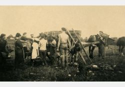 1941-1942 - Belle journée de vendanges au domaine de Taupignac - 05 / Visuel : D.R.