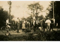 1941-1942 - Belle journée de vendanges au domaine de Taupignac - 09 / Visuel : D.R.