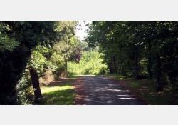Allée des chênes, en prolongement de la Rue Abel Guérin, jusqu'à la D14 / Visuel : D.R.
