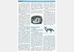 Article consacré à la chasse dans « Vivre à Breuillet » - 02 / Visuel : D.R.