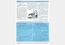 Article consacré à la chasse dans « Vivre à Breuillet » - 03 / Visuel : D.R.