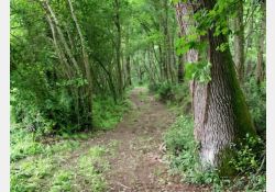 Bois du Clos / Visuel : D.R.
