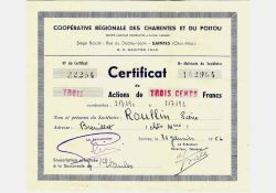 Certificat actions Coopérative régionale des Charentes et du Poitou, Saintes, 1956 / Visuel : D.R.