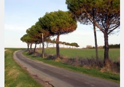 Visuel : D.R. Chemin des Métairies