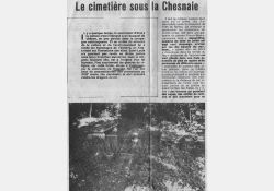 Chênaie de Coulonges - Article de Sud-Ouest, 1978 - 01 / Visuel : D.R.