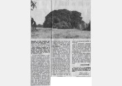 Chênaie de Coulonges - Article de Sud-Ouest, 1978 - 02 / Visuel : D.R.