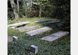 Cimetière dans la chênaie de Coulonges, site inscrit à l'inventaire historique en 1977 / Visuel : D.R.