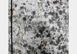 Cimetière dans la chênaie de Coulonges, site inscrit à l'inventaire historique en 1977 / Visuel : D.R.