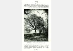Extrait guide de Royan, 1923 / Visuel : D.R.