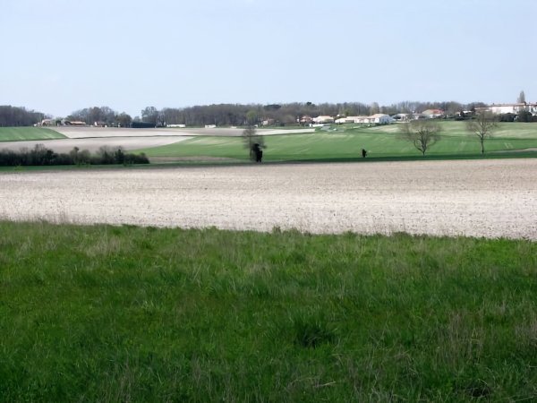 Fief d'Envie / Visuel : D.R.