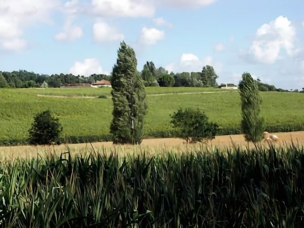 L'Aubuge / Visuel : D.R.