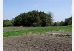 Visuel : D.R. La Chaume, La Chaune