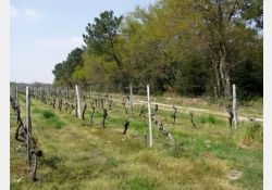 Visuel : D.R. La Garenne - 01