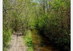 Visuel : D.R. La Moinerie