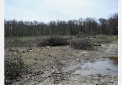 Visuel : D.R. La Touche Garnie - 02