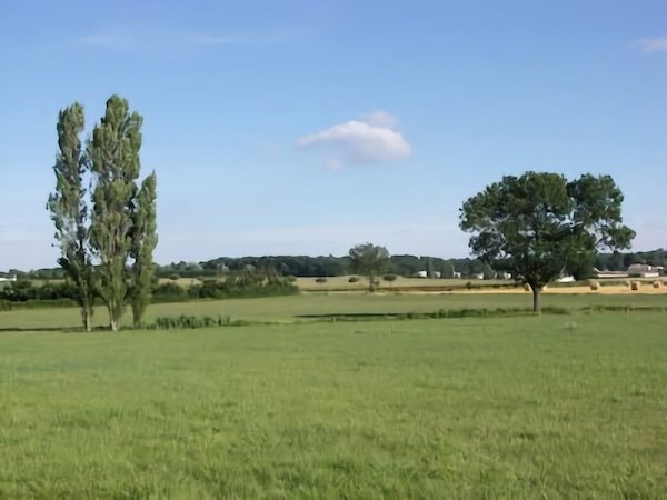 Le Barbeau / Visuel : D.R.