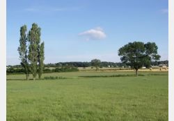 Visuel : D.R. Le Barbeau