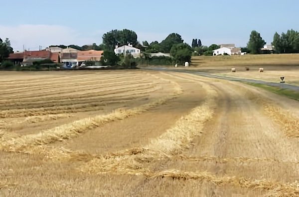 Le Chemin du Puits / Visuel : D.R.