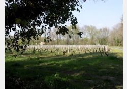 Visuel : D.R. Le Fief des Rosiers