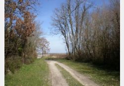 Visuel : D.R. Le Sentier des Bournevelles