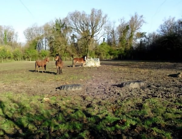 Les Artigaux (ou Artigauts) / Visuel : D.R.