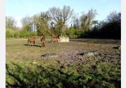 Visuel : D.R. Les Artigaux (ou Artigauts)