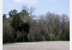 Visuel : D.R. Les Brandes - 01