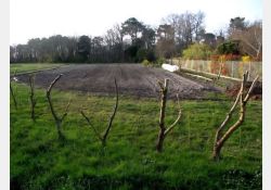 Visuel : D.R. Les Ramigeards