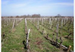 Visuel : D.R. Les Sables de Mornac