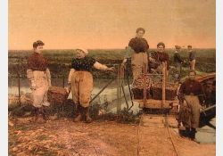 Visuel : D.R. Marennes, emballage des huîtes
