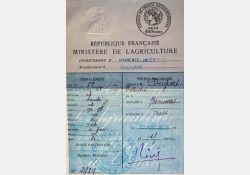 Permis de chasse, 1928 / Visuel : D.R.