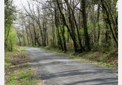 Visuel : D.R. Sous le Bois de La Lande