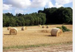 Visuel : D.R. Toponymes commençant par chez ou les - Chez Forgit