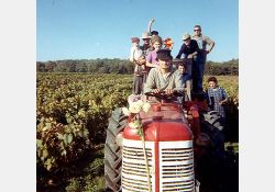 Vendanges - tracteur - 02 / Visuel : D.R.