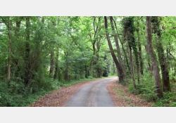 Visuel : D.R. Bois de Grandjean